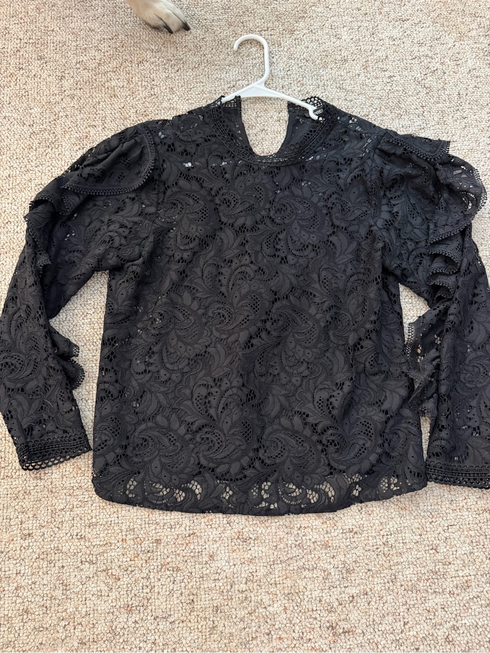 Express Black Women’s Lined Lace Blouse Ruffle Sleeve Size M